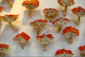 Toadstool book forms. Image from Bethany Nowviskie presentation at MLA13, "Resistance in the Materials"